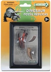 COLLECTA Geschenkset - Vorgeschichte