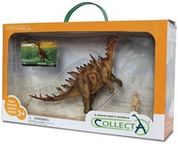 COLLECTA Geschenkset - Vorgeschichte