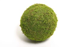 HBX natural living Moosball Dekoration grün 20cm für Zuhause