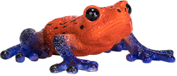 Mojo Wildlife Spielzeug Poison Dart Frosch - 381016