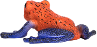Mojo Wildlife Spielzeug Poison Dart Frosch - 381016-2