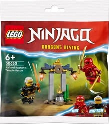 LEGO Ninjago 30650 Kai and Raptons Temple Battle