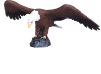 Mojo Woodland Spielzeug Amerikanischer Weißkopfseeadler - 387027-3