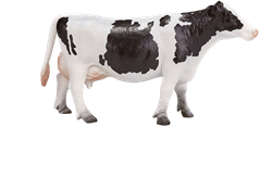 Mojo Farm Spielzeug Holstein Kuh - 387062