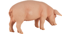 Mojo Farm Spielzeug Schwein (Wildschwein) - 387080-2