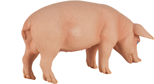 Mojo Farm Spielzeug Schwein (Wildschwein) - 387080-2
