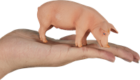Mojo Farm Spielzeug Schwein (Wildschwein) - 387080-3