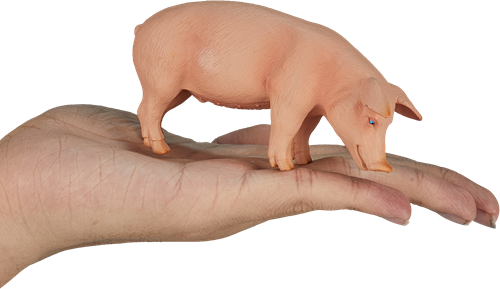 Mojo Farm Spielzeug Schwein (Wildschwein) - 387080-3