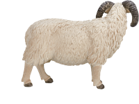 Mojo Farm Spielzeug Schaf (Widder) - 387097-2