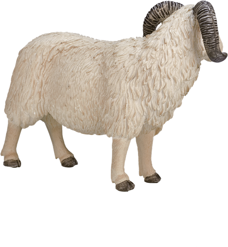 Mojo Farm speelgoed Schaap (Ram) - 3870
