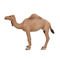 Mojo Wildlife Spielzeug Arabisches Kamel - 387113