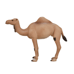 Mojo Wildlife Spielzeug Arabisches Kamel - 387113