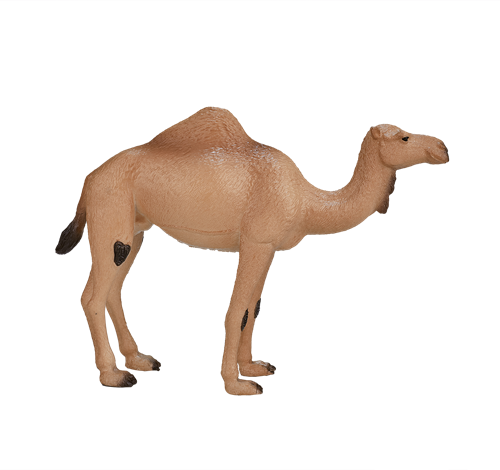 Mojo Wildlife Spielzeug Arabisches Kamel - 387113-2
