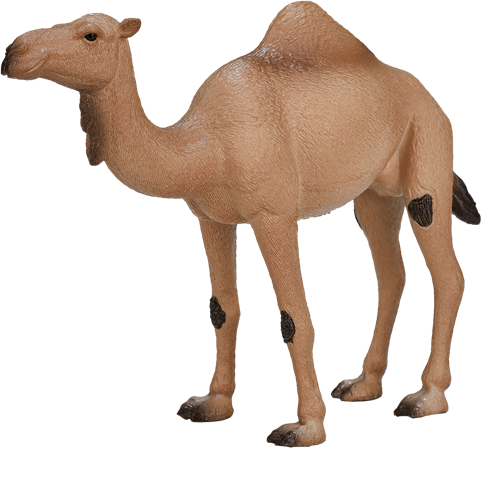 Mojo Wildlife speelgoed Arabische Kameel - 387113
