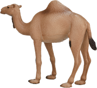 Mojo Wildlife speelgoed Arabische Kameel - 387113