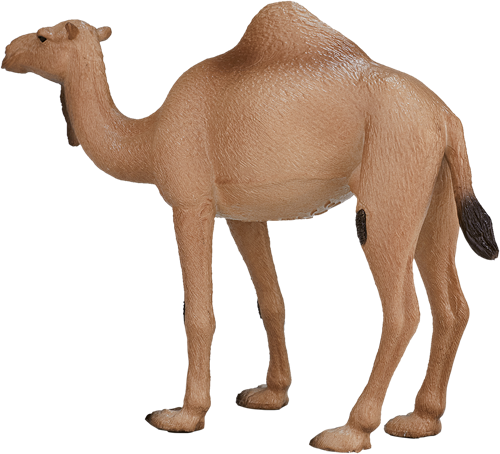 Mojo Wildlife speelgoed Arabische Kameel - 387113