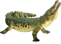 Mojo Wildlife Spielzeug Krokodil mit beweglichem Kiefer - 387162