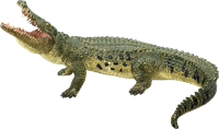 Mojo Wildlife Spielzeug Krokodil mit beweglichem Kiefer - 387162-2