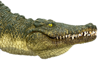 Mojo Wildlife Spielzeug Krokodil mit beweglichem Kiefer - 387162-3