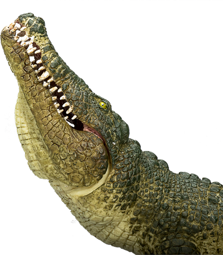 Mojo Wildlife - Crocodile with Articulated Jaw 387162