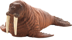 Mojo Sealife Spielzeug Walross - 387209
