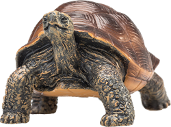 Mojo Wildlife Spielzeug Riesenschildkröte - 387259