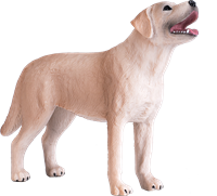 Mojo Pets Spielzeug Labrador - 387271-3