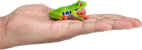 Mojo Wildlife Spielzeug Rotaugenlaubfrosch - 387299-3