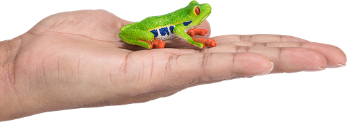 Mojo Wildlife Spielzeug Rotaugenlaubfrosch - 387299-3