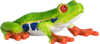 Mojo Wildlife Spielzeug Rotaugenlaubfrosch - 387299-2