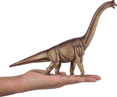 Mojo Spielzeug Dinosaurier Deluxe Brachiosaurus - 387381-3