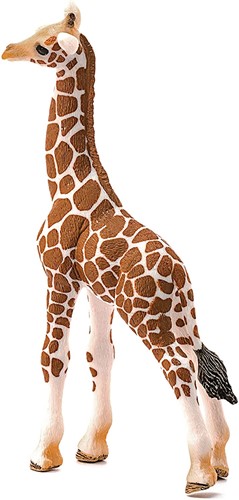 Schleich 14751 - Giraffenbaby-3