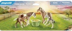 Playmobil Country - 2 Islandponys mit Fohlen 71000