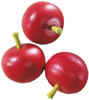 Haba Spielzeug Tomate - Holzgemüse für Kinderküche und Kaufladen