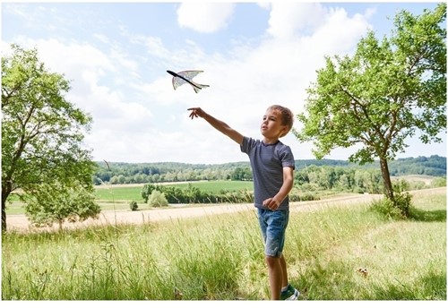 HABA Terra Kids Katapultflugzeug-2