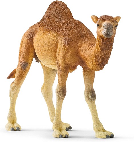 Schleich Safari - Dromedar Spielfigur 14832 Kinderspielzeug-2