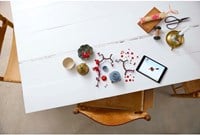 LEGO Botanicals Japanische Aprikose Bauset - Dekoration für Erwachsene-3