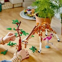 LEGO Creator 31150 Safaridieren-3