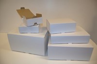 20 Postversandkartons Nr. 4 01096324