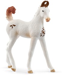 schleich HORSE CLUB Marwari Veulen 14896