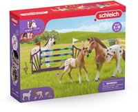 Schleich Horse Club Horse Club Lisas Turnierausbildung - 42433