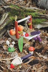 Tender Leaf Holzspielzeug Wilde Früchte Sammelkorb Lernspiel