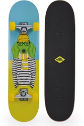 Schildkröt Skateboard Anfänger grün 31 Zoll Double Kick Grip