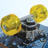 Schildkröt Skateboard Junior 24 Zoll Holzdeck Griptape PU Rollen-2