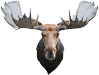 Madd Capp I AM - MOOSE-2