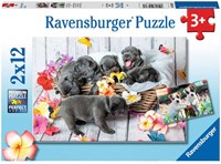 Ravensburger Ravensburger Puzzle 2x12 Teile 056361
