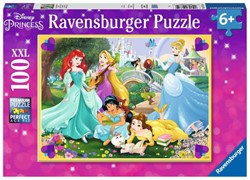 Ravensburger Wage deinen Traum!