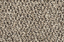 Ingresso Schoonloopmat 60x90cm taupe