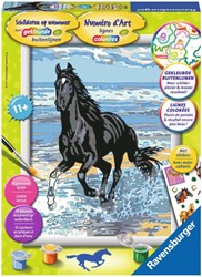 Ravensburger Malen nach Zahlen Pferd in der Brandung - kreatives Hobbyset