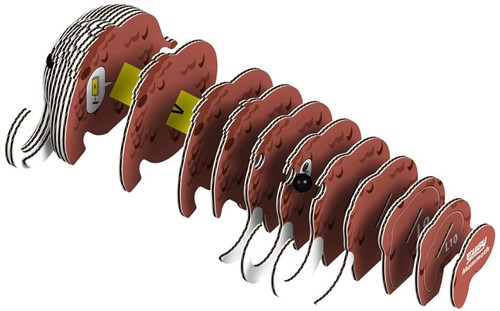 Eugy 3D Puzzle Mammut - Lernspielzeug Tierfigur Bastelset-3